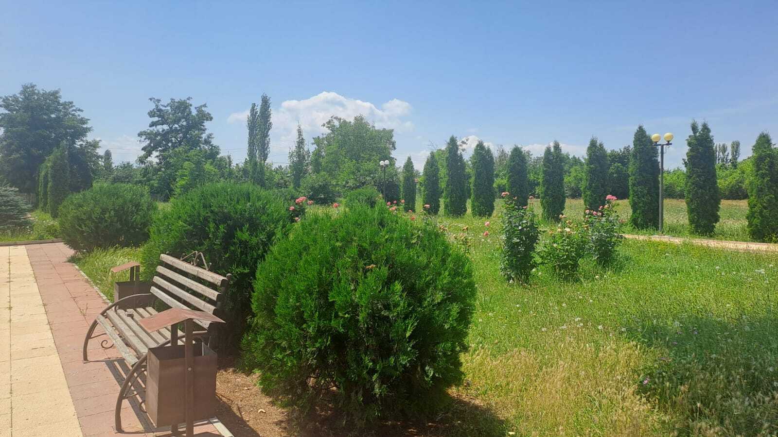 Марафон зеленых дел.