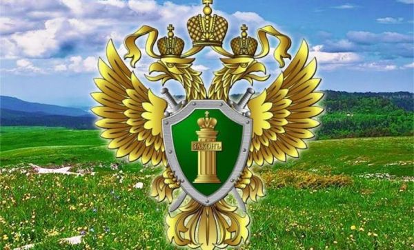 Дербентская межрайонная природоохранная прокуратура разъясняет: Подписан закон о запрете создания новых скотомогильников. Дербентская межрайонная природоохранная прокуратура разъясняет: Подписан закон о запрете создания новых скотомогильников.